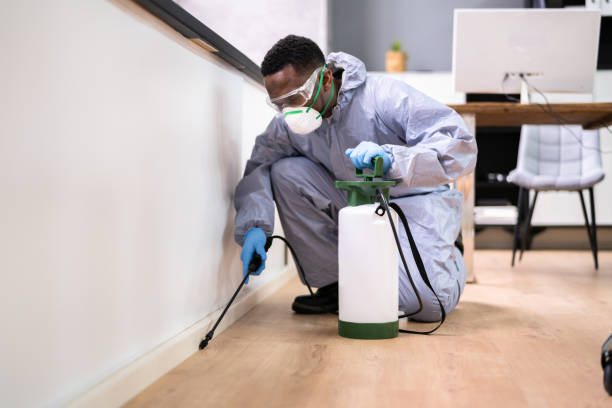 Best Fumigation Services  in Mangonia Park, FL